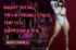 Budget Sex Doll_ Top 5 Affordable Styles That Feel Surprisingly Real (1)